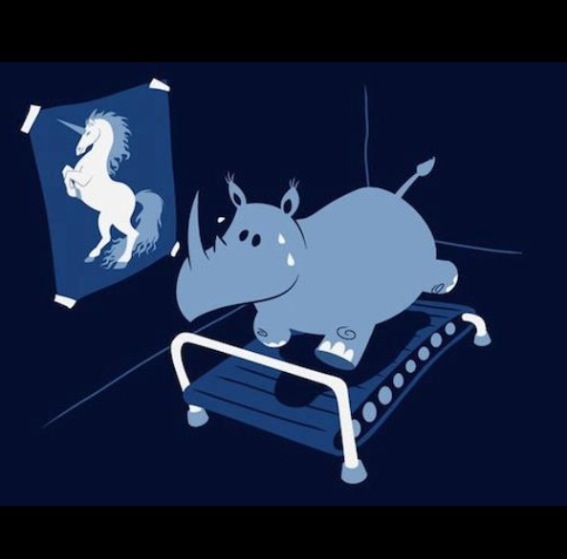 Hippos and unicorns